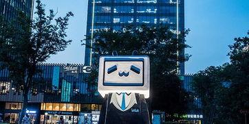 国产B站永久免费入口亚洲,亚洲潮流文化新阵地