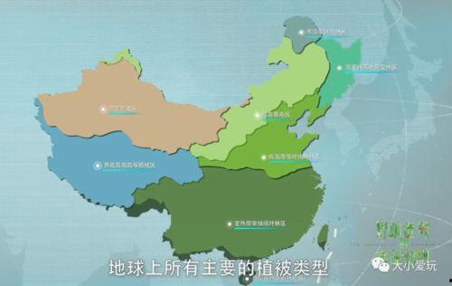 91精产一二三产区区别,探寻品质与风味的奥秘”